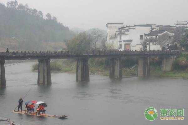 立秋过后天气会变凉吗？立秋前后下雨有哪些好处？