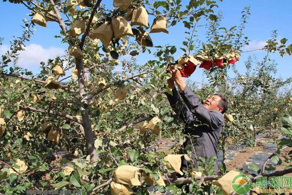 电商助力脱贫攻坚 宜川县扶贫成果受央视关注