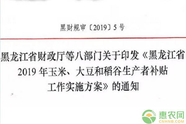 注意！黑龙江省玉米、大豆和稻谷补贴发放时间已出台！