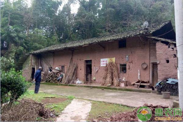 农村宅基地确权后，迎来了4大好处，1个坏处！