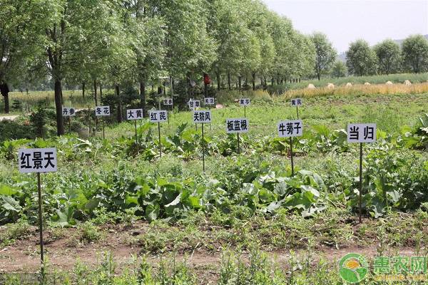 河南农业种植补贴有哪些？补贴标准是多少？