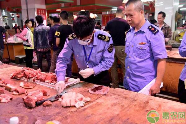 热点丨云南省腾冲市发生非洲猪瘟疫情（附非洲猪瘟的最新消息）