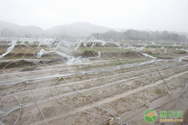 小雪是农历几月几日？小雪节气的含义及天气特点